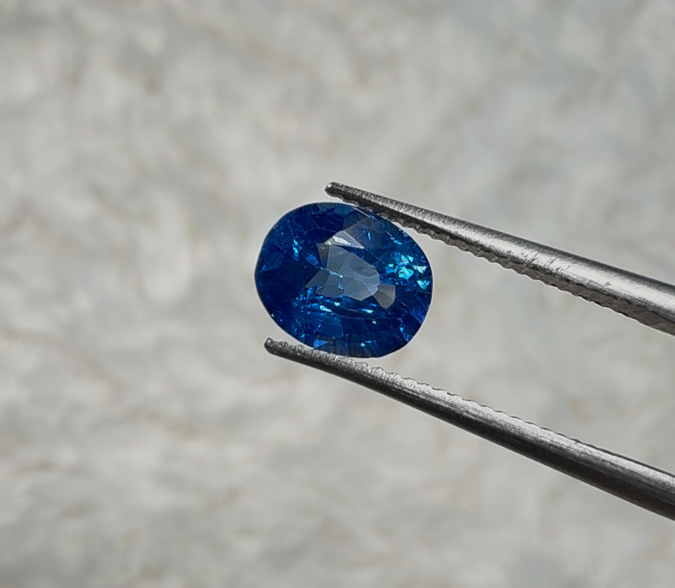 WhatsApp Image 2025-10-26 at 22.04